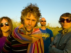 Image for The Flaming Lips