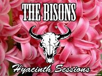 The Bisons