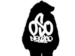 Image for oso negro