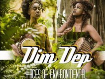 Dim-Dep Faces of Envitonmental Success