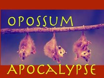 Opossum Apocalypse