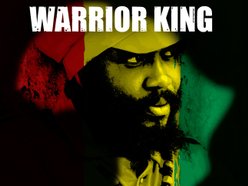 Image for Warrior King