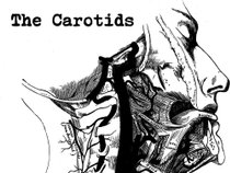 The Carotids
