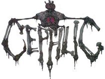 Cephlic
