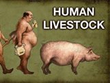 The Human Livestock Band and Revue
