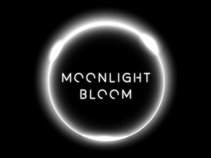 Moonlight Bloom