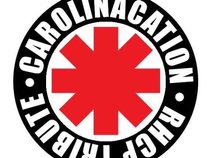 Carolinacation -RHCP Tribute