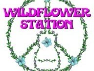 Wildflower Station