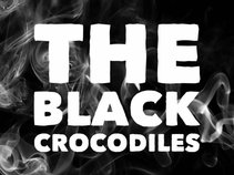 The Black Crocodiles