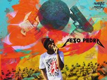 OfficialPE$OPEDRO843