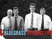 The Bluegrass Stranglers