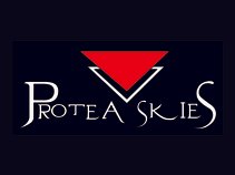 Protea Skies