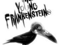 The Young Frankensteins