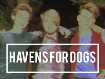 Havens for Dogs