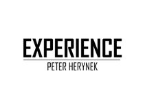 Peter Herynek Experience