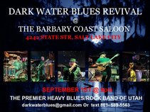 Dark Water Blues Revival