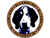 Bluehound