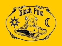 The Black Pine