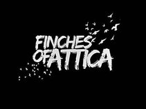 Finches of Attica