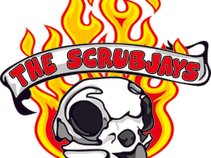 The ScrubJays