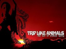Trip Like Animals