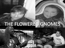 The Flowered Gnomes