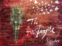 The Antifragile