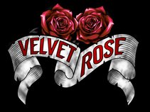 Velvet Rose Band