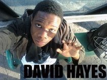 DAVID HAYES