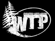 Within the Pines