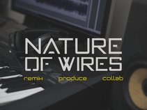 Nature of Wires