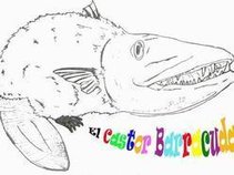 El Castor Barracuda