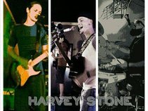 Harvey Stone