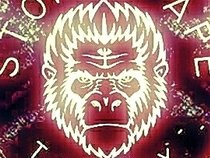 Stoned Ape Theory