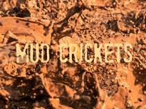 Mud Crickets