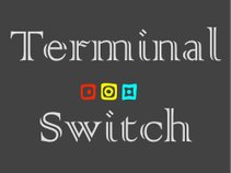 Terminal Switch