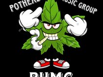 Potheads Music Group