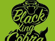 Black King Cobra
