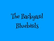 The Backyard Bluebirds
