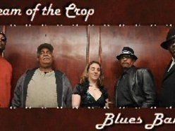 Too Many Mechanics by Cream of the Crop Blues Band