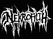 Nekrofilth