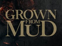 Grown from Mud