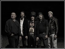 The cobras bluesrockin band