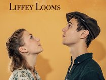 Liffey Looms