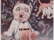 TS Mud