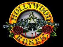 hollywood roses