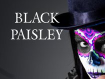 Black Paisley
