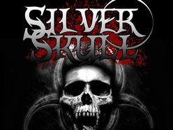 Image for Silver Skull