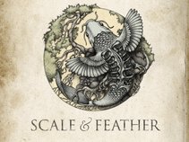 Scale & Feather
