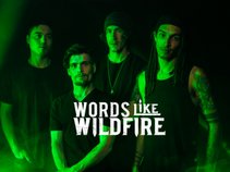 Words Like Wildfire
